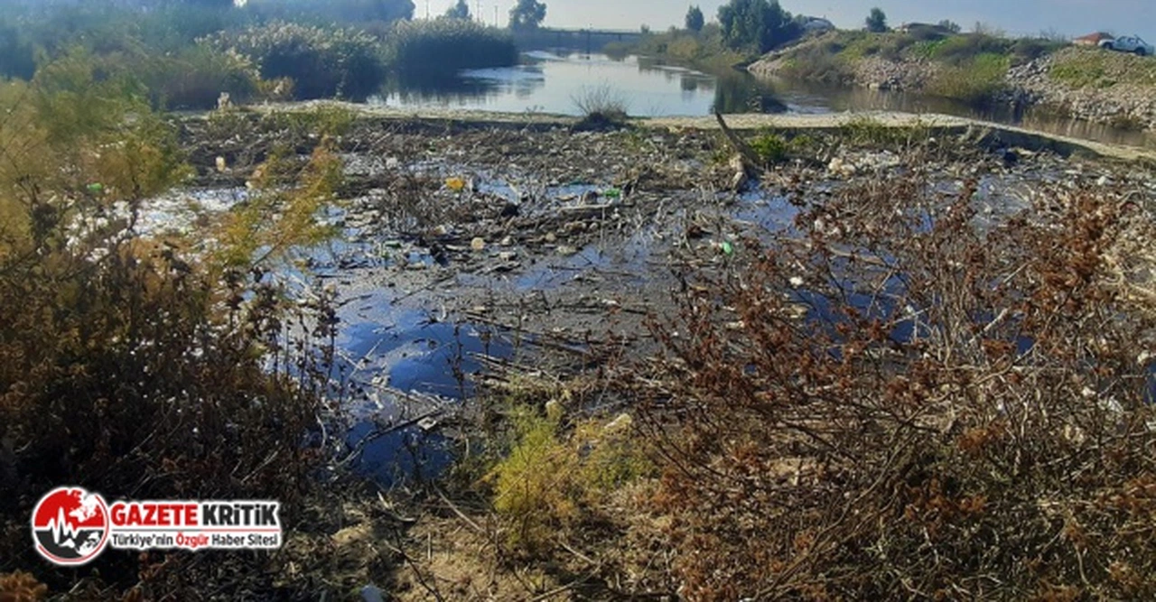 Büyük Menderes Nehri çöplüğe döndü, suyun rengi siyaha büründü