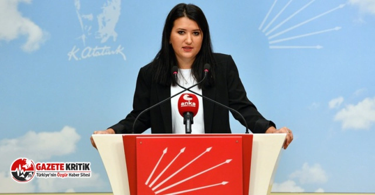 CHP'Lİ GÖKÇE GÖKÇEN: “DEDİKODU VE TROLLÜĞÜN İKTİDARI MI? YOKSA ÜRETİMİYLE VE BİLİMİYLE KONUŞULAN BİR TÜRKİYE Mİ?