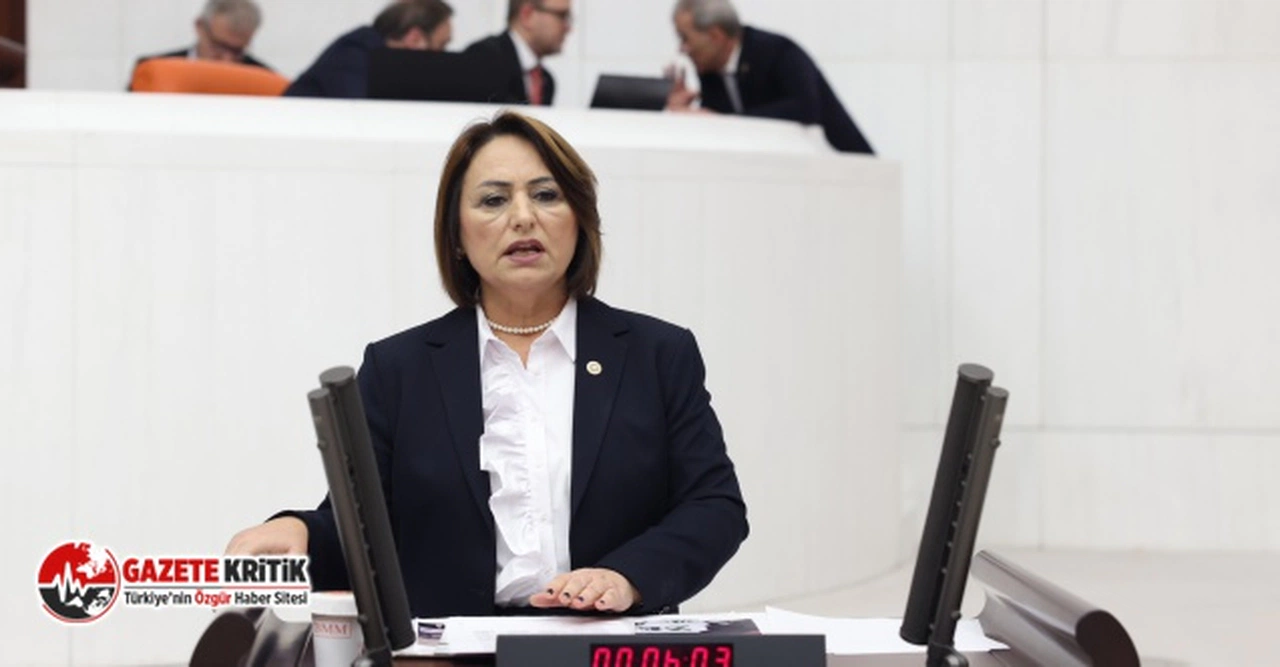 CHP'li Şevkin:Cumhuriyet değerlerini sata sata bitiremediler