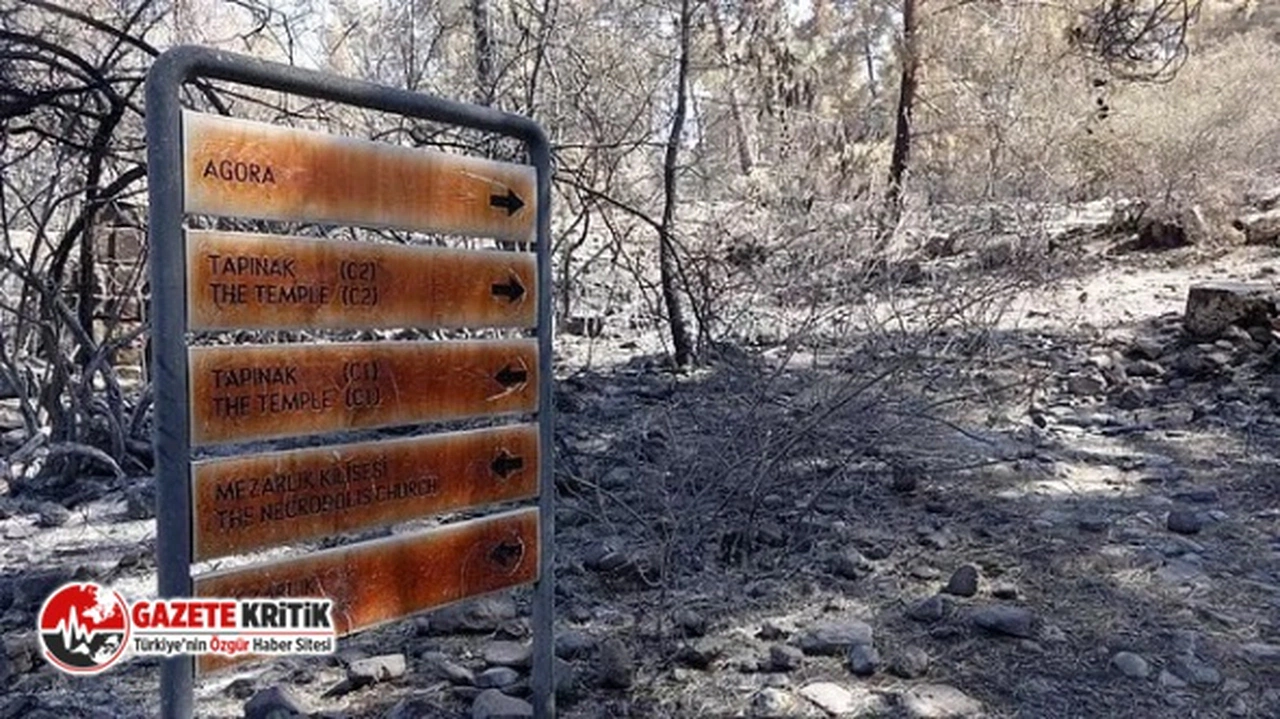 İYİ Partili Hasan Subaşı:Yanan orman alanlarına otel inşaatı ve Taş-Maden ocağı ruhsatı veriliyor!..