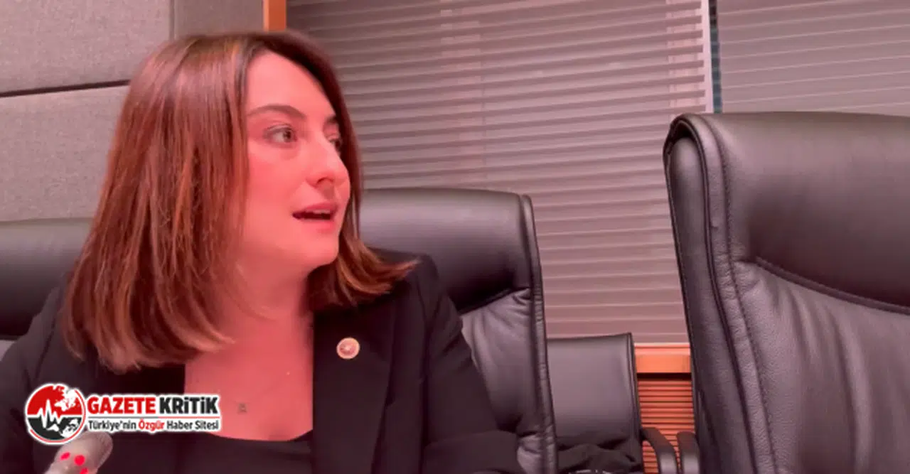 CHP'li Aysu Bankoğlu'ndan türban yasası ile ilgili açıklama!