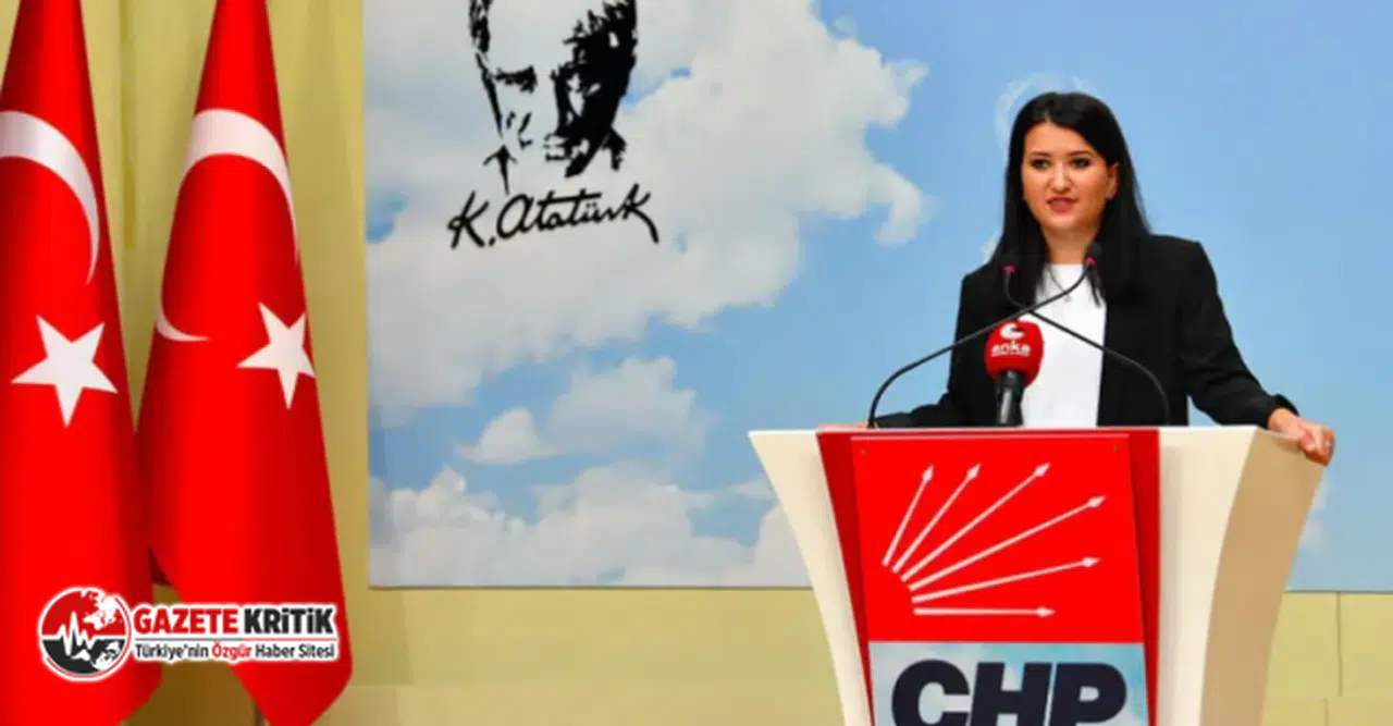 CHP'li Gökçe Gökçen: “Beyin göçünü tersine çevirmeye geliyoruz. Büyük dönüşe hazır olun”