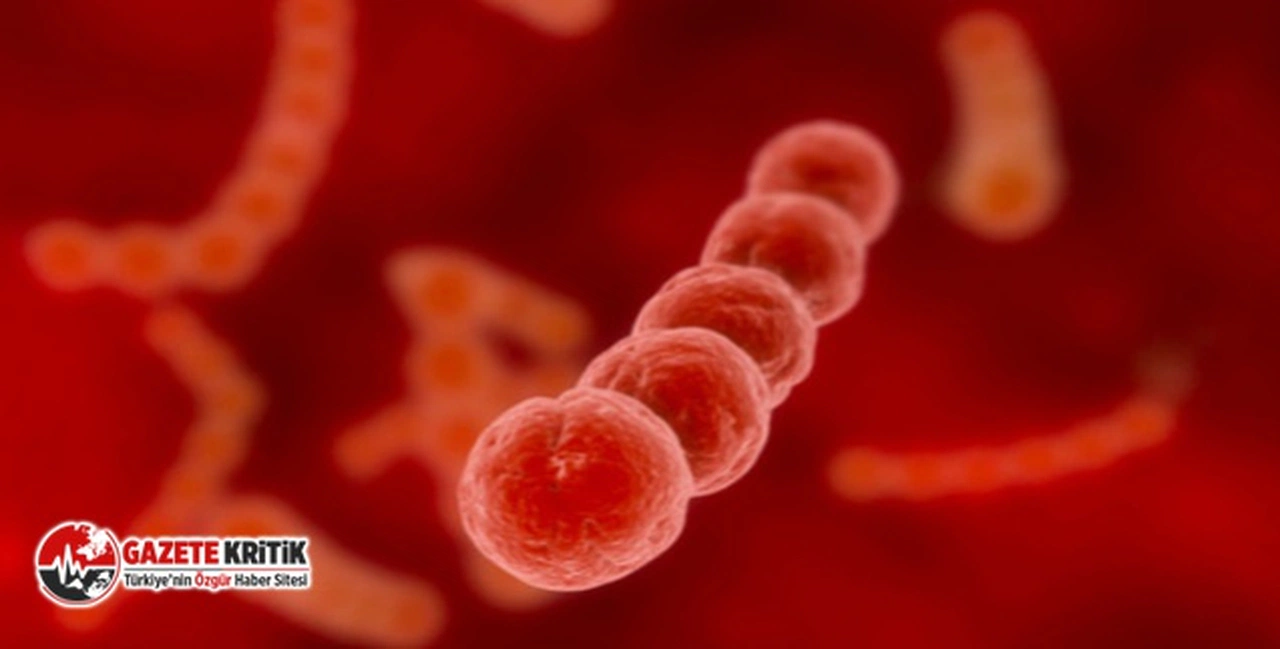 Vaka sayıları artıyor: Strep A nedir, nasıl bulaşır, belirtileri nelerdir?