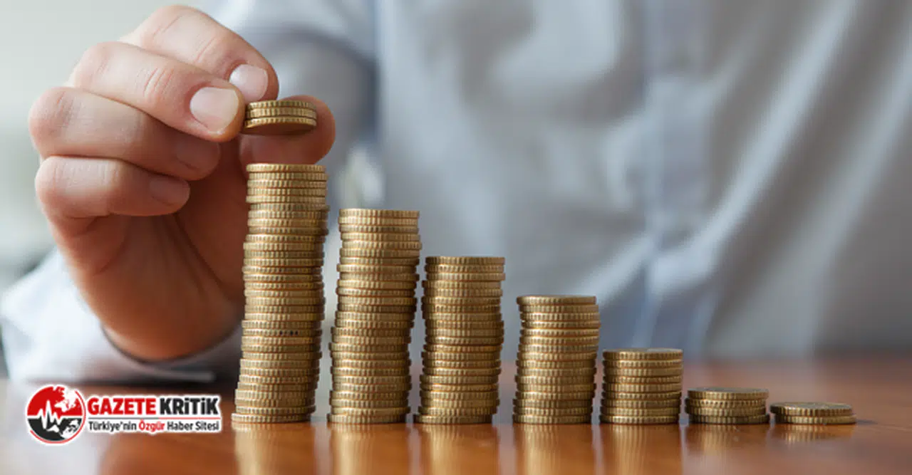 Bireysel Emeklilik Sistemi'nde devlet katkısı portföyünde hisse ağırlığı arttı