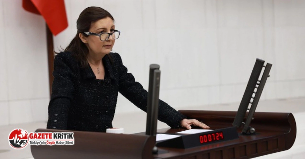 CHP'li Karabıyık:Türkiye'nin en başarılı gençleri şu anda işsiz, geleceklerinden kaygı duyuyor!