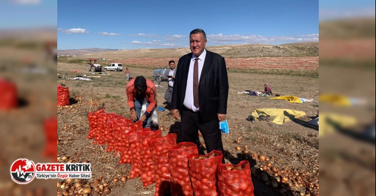 Gürer: “AKP, vatandaşı kuru soğana da muhtaç etti”