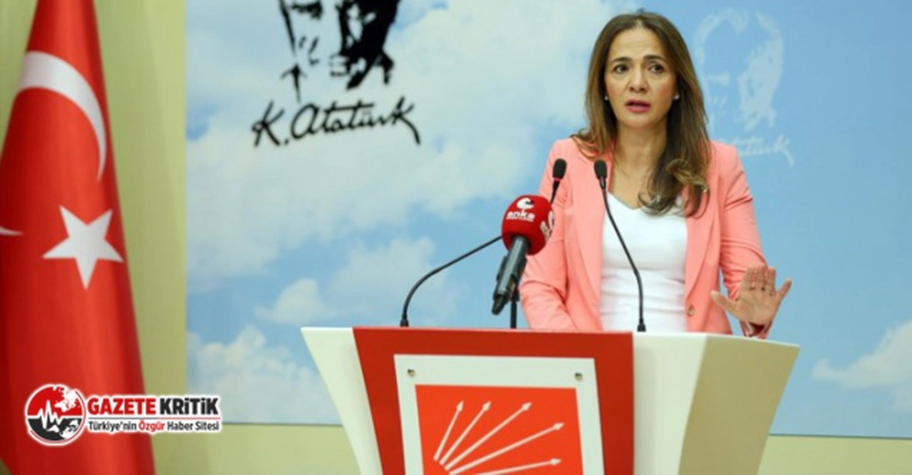 CHP GENEL BAŞKAN YARDIMCISI GAMZE AKKUŞ İLGEZDİ: “BORÇLAR 6 AY DEĞİL 2 YIL UZATILSIN”