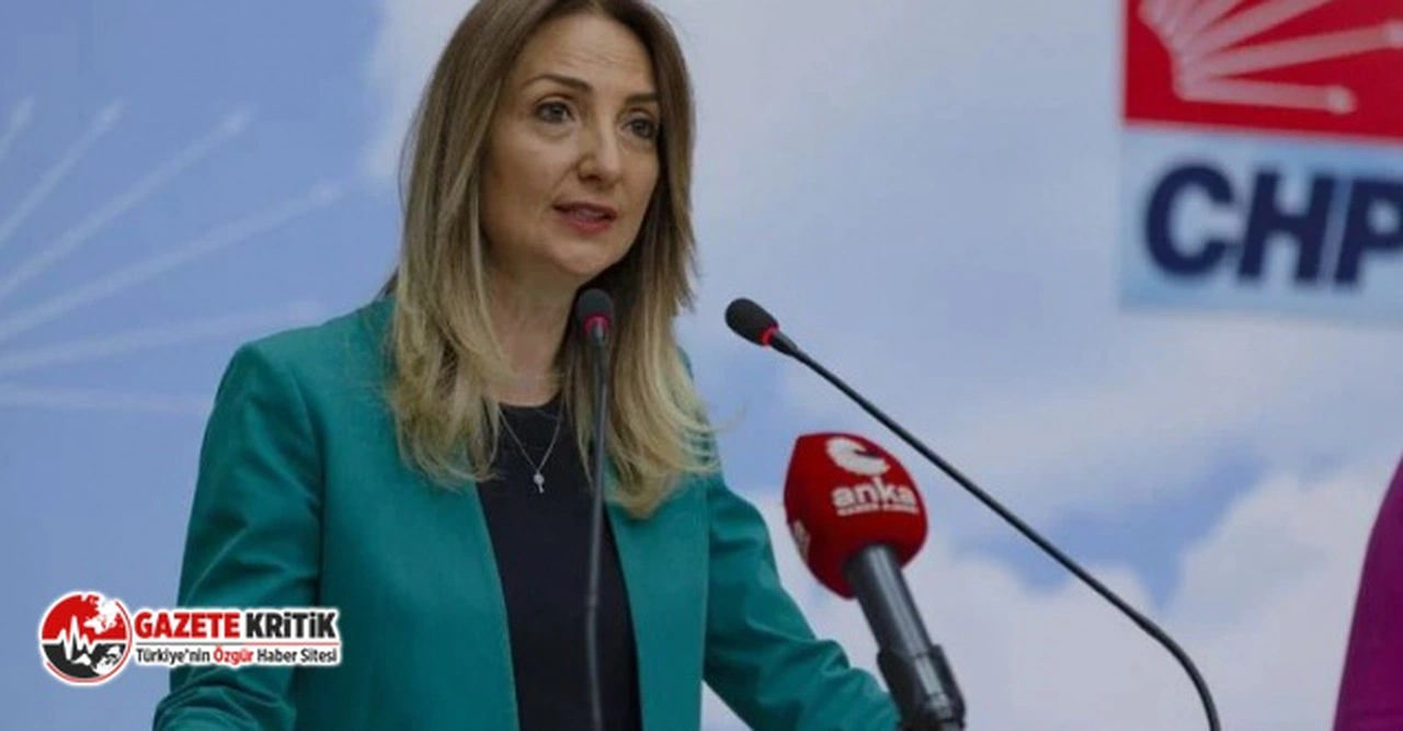 CHP KADIN KOLLARI GENEL BAŞKANI AYLİN NAZLIAKA BAKAN YANIK’A SORDU: YENİ FOTOROMAN SİZ MİSİNİZ?