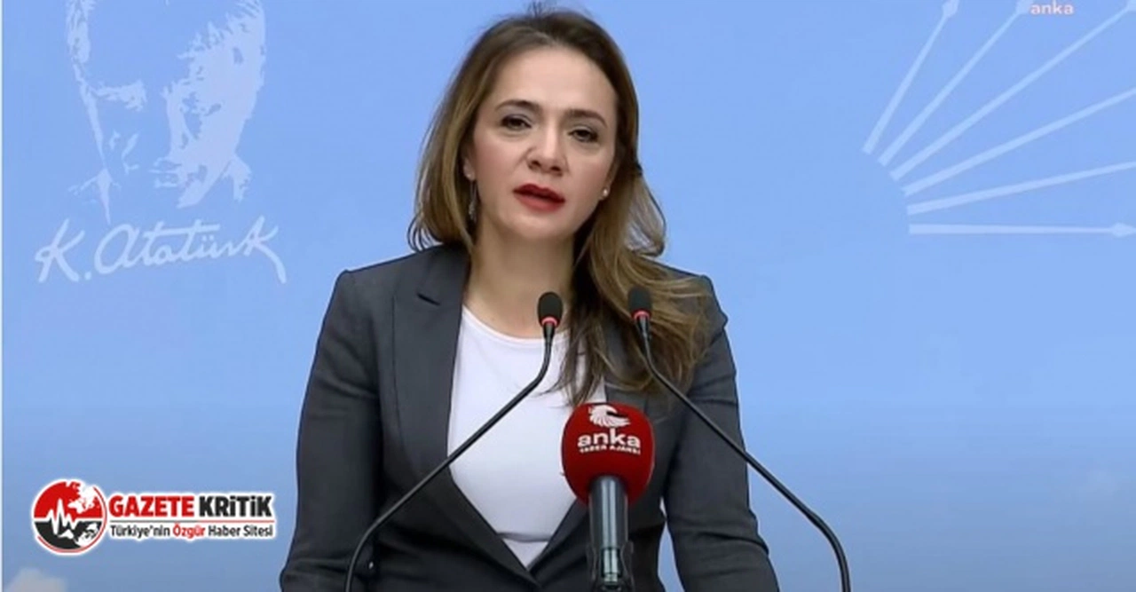 CHP'li İlgezdi: "Sorumlu Kızılay'ın kanını emen yöneticilerdir"