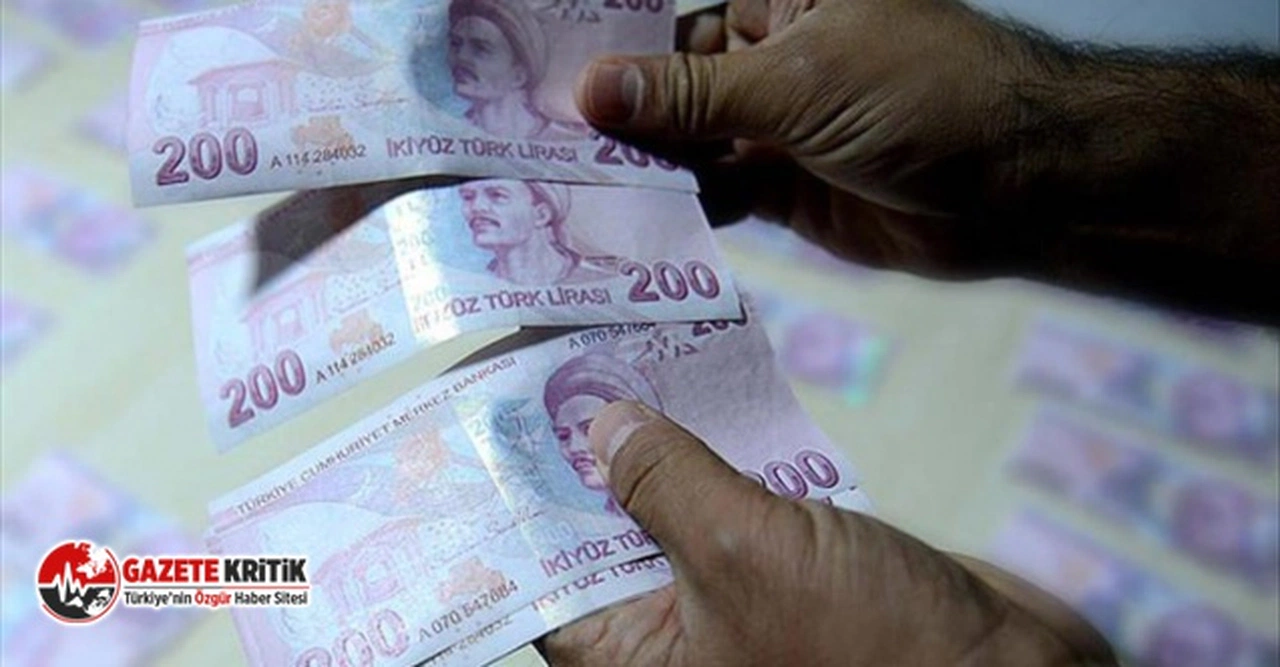 En büyük kağıt para 200 TL, tedavüle girmesinden bu yana yüzde 647 eridi