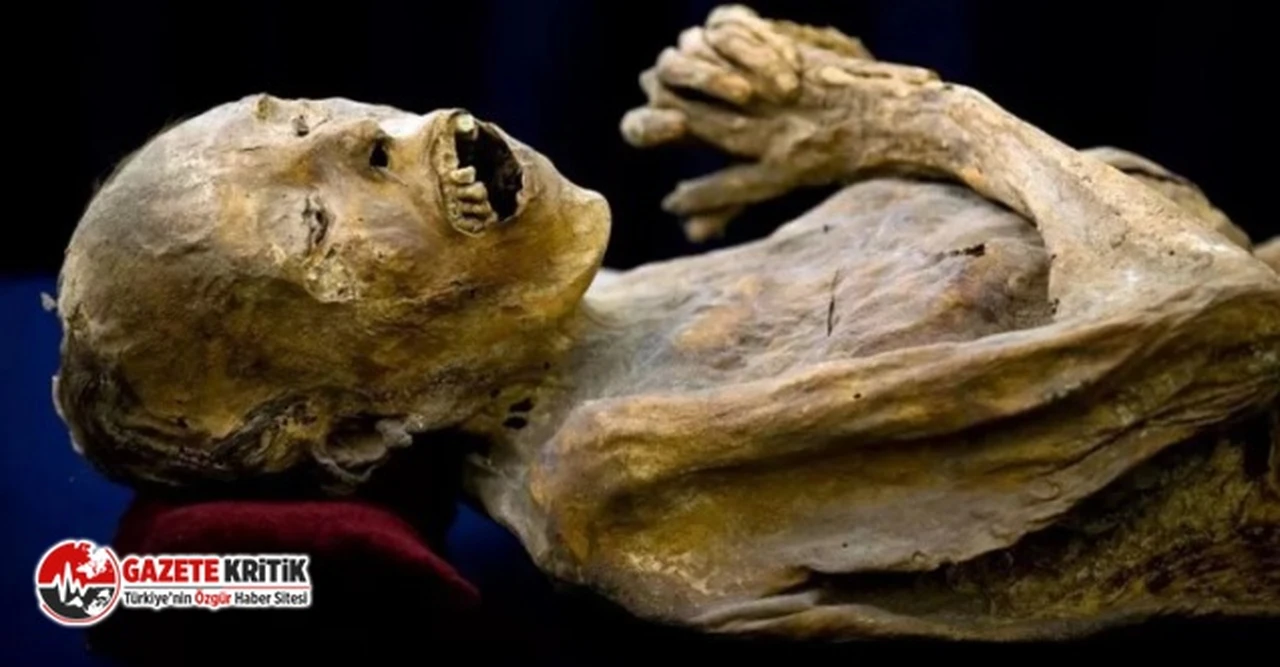 Ziyaretçiler korku dolu anlar yaşadı! 200 yıllık mumya açılınca hareket etti