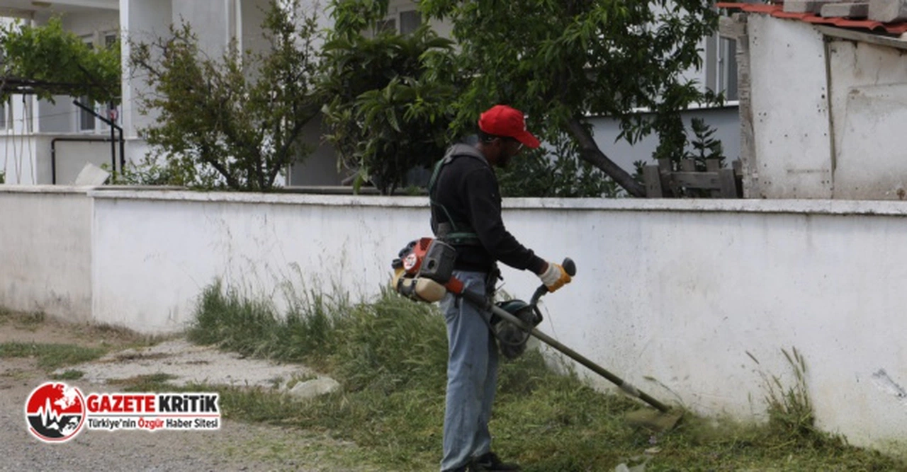 Burhaniye'de tırpan ve temizlik çalışmaları sürüyor