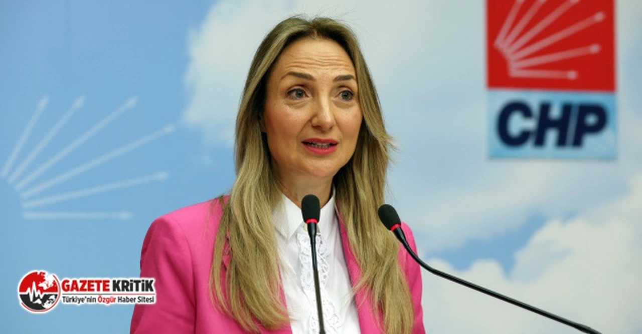 CHP Kadın Kolları Genel Başkanı Aylin Nazlıaka: "Kadınların örgütlü gücü onları sandığa gömecek”