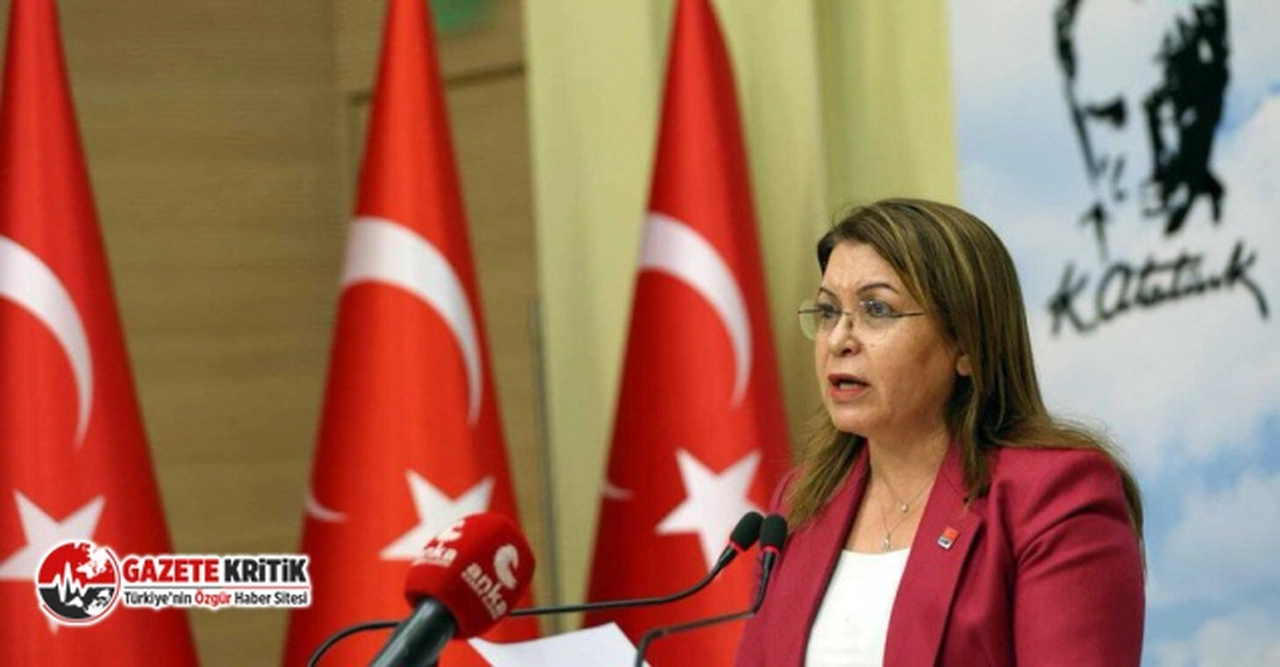CHP'li Karaca'dan gençlere çağrı: "Hayatını, emeğini, geleceğini çalanlara veda için sandığa"