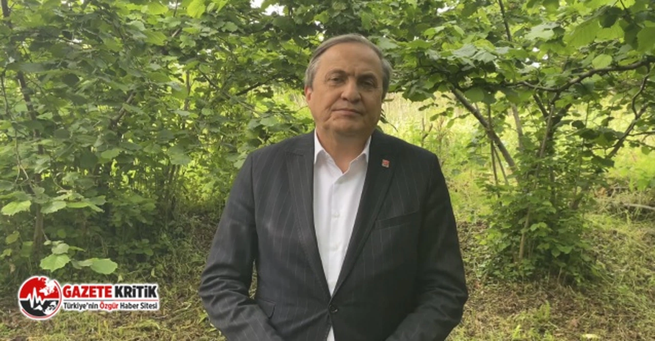 CHP'Lİ SEYİT TORUN:"FINDIK TABAN FİYATI 4 DOLAR OLACAK”