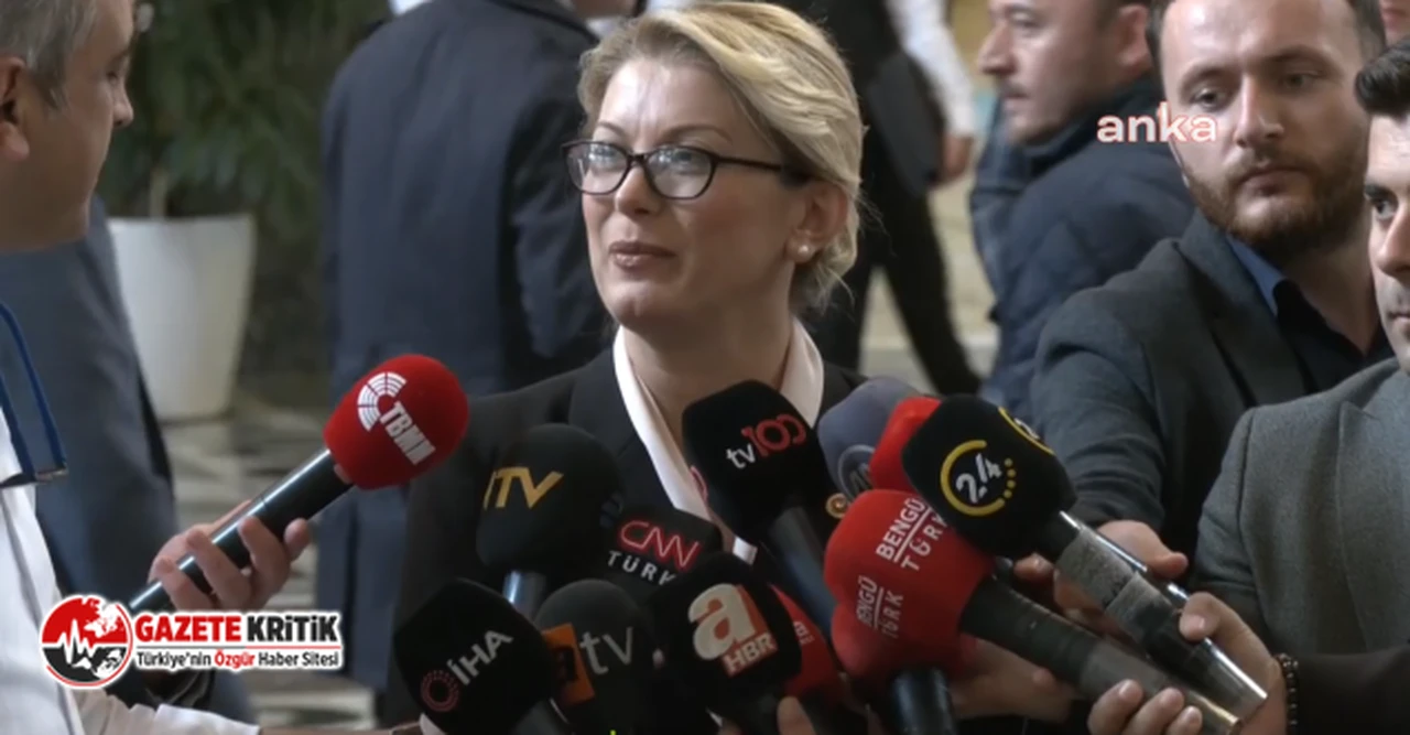 CHP'nin Osmaniye'den seçilen ilk kadın milletvekili Asu Kaya Gedik: 'Sahada çalıştık, insanlara dokunduk'