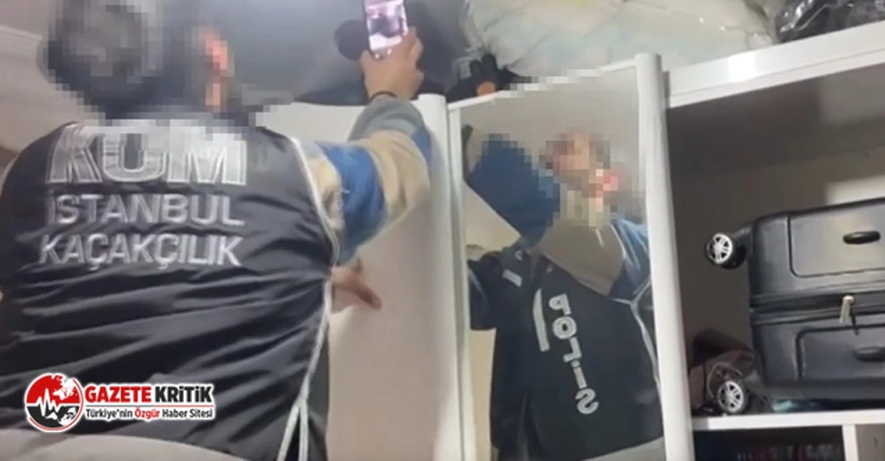 İstanbul'da kaçakçılık operasyonu... Çok sayıda tarihi eser ele geçirildi