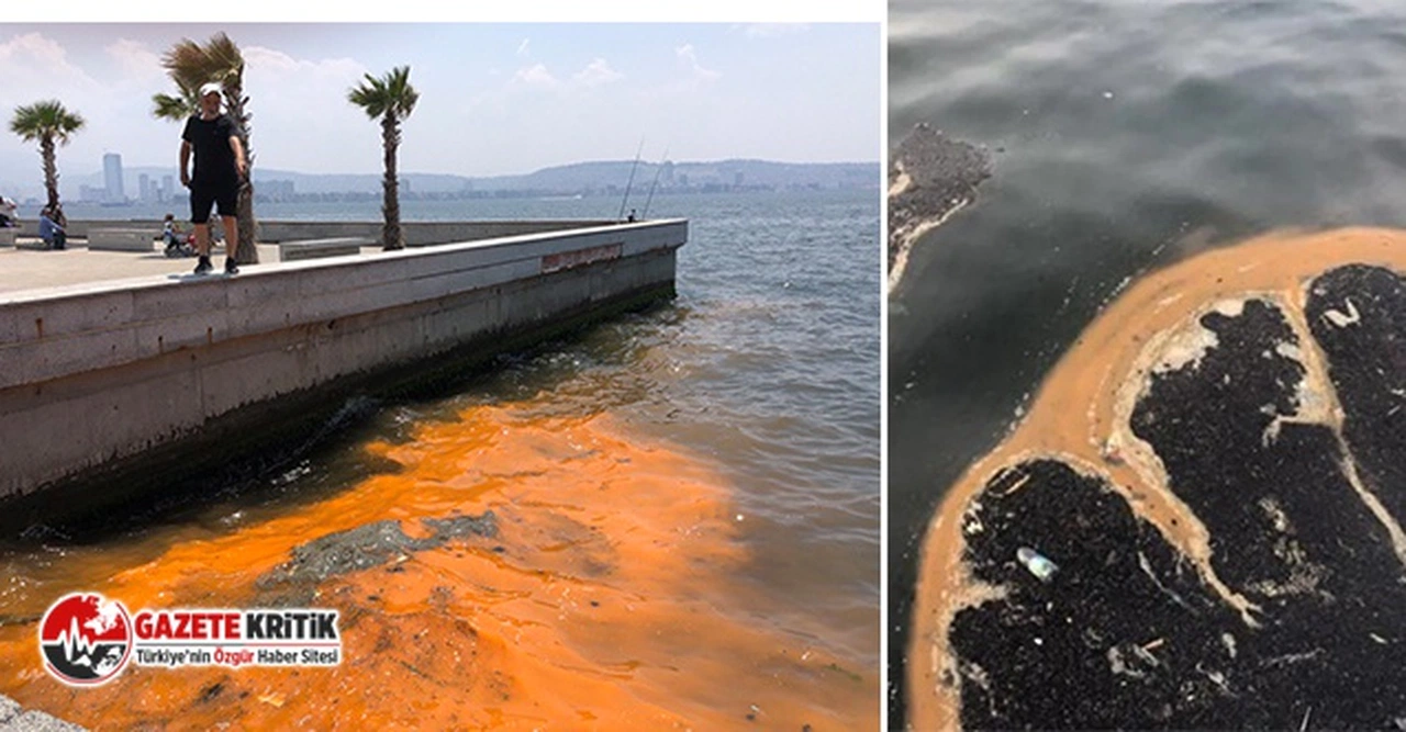 İzmir Körfezi'nde 'kırmızı-turuncu renk' uyarısı: 'Doğal bir olay değil'