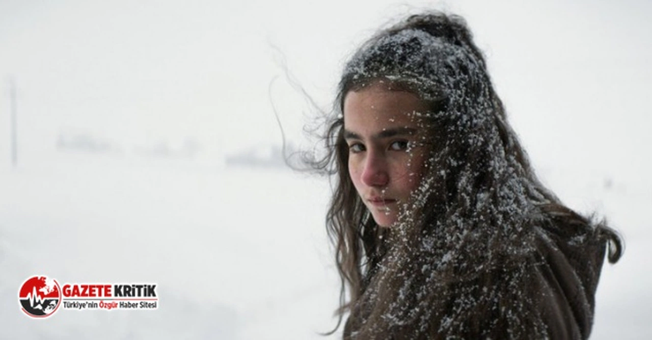 'Kuru Otlar Üstüne': Cannes'da Nuri Bilge Ceylan rüzgarı