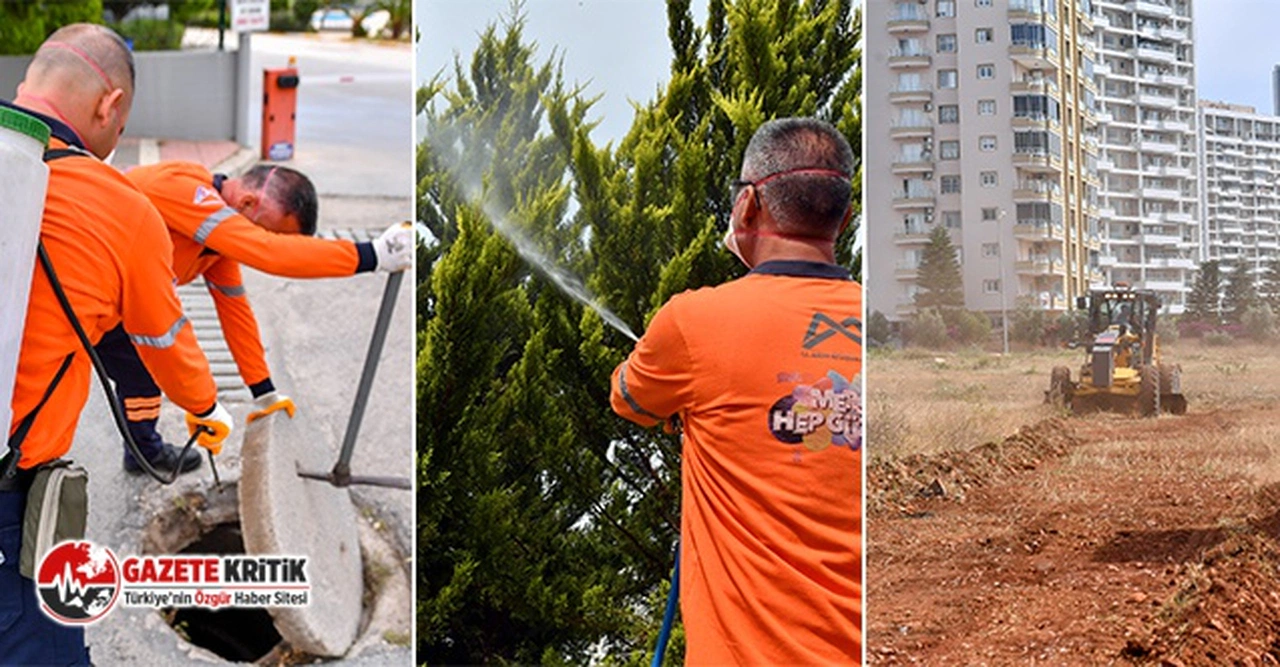 Mersin Büyükşehir haşere ile mücadeleye hız verdi