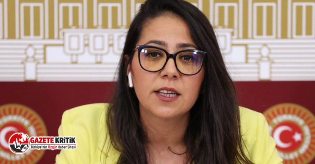 TİP'li Sera Kadıgil: "Dayanın arkadaşlar.Değecek."