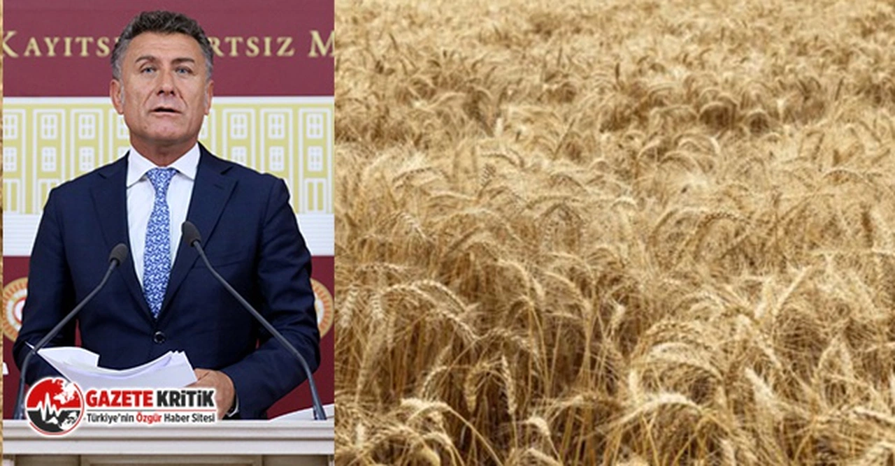 Türkiye, Buğday İthalatında 100 Milyon Tona Koşuyor