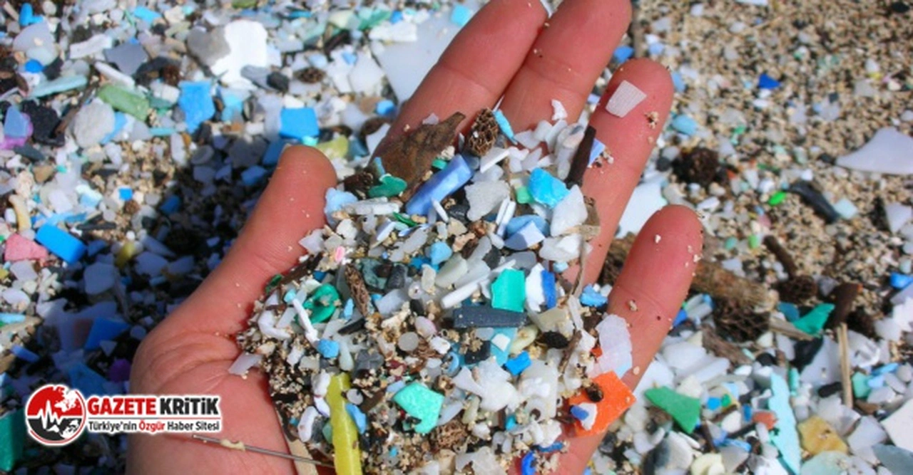 Çevrecilerden 'tek kullanımlık plastik ürünler' yasaklansın çağrısı