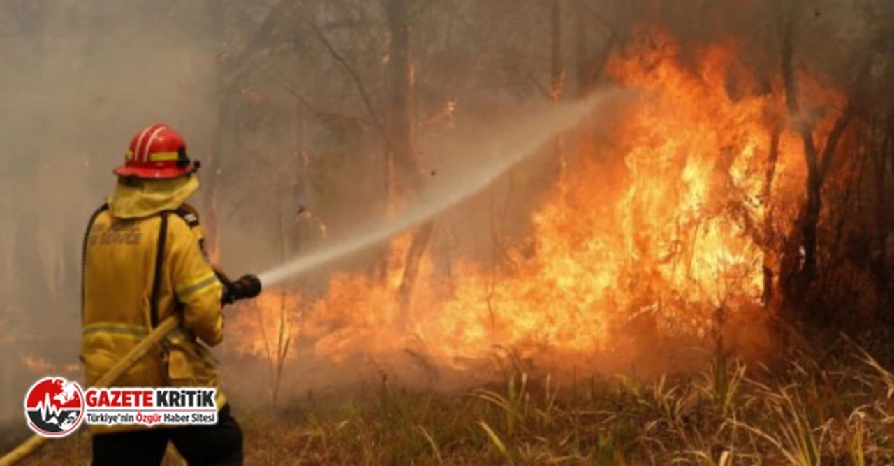 CHP'den orman yangınlarına karşı tedbir talimatı