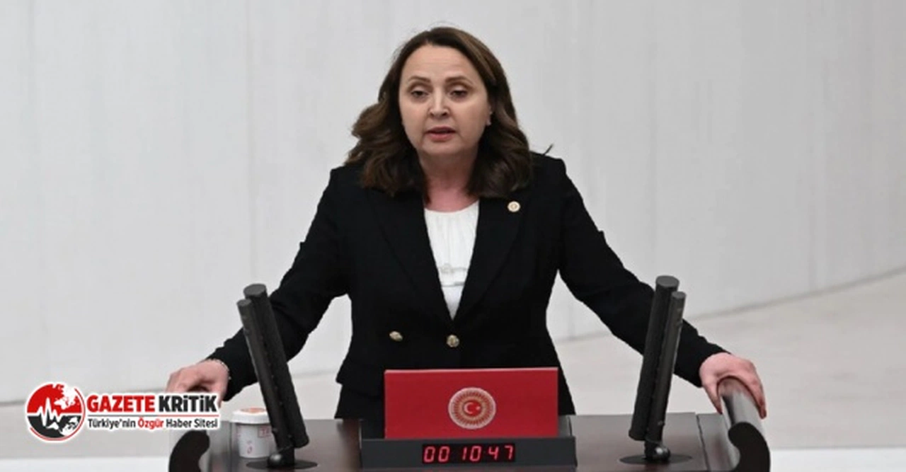 CHP'li Semra Dinçer: Hak arama hürriyeti el yakıyor