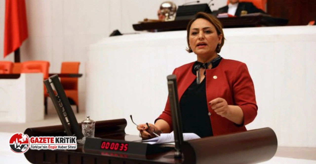 CHP'li Şevkin'den '19 yeni il' açıklaması: Seçime 9 ay kala ortaya atılması hiç samimi değil