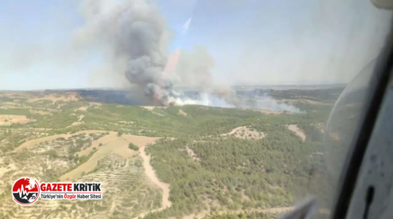 Adana’da orman yangını!