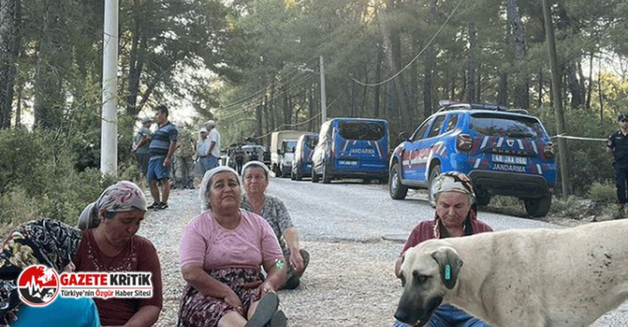 Akbelen'de ağaçların kesilmesini protesto eden köylüler yardım istedi