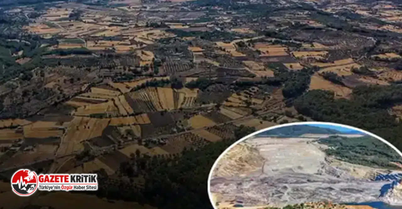 "AKP, AKBELEN ORMANLARINI KATLETTİ, ŞİMDİ SIRA TRABZON UZUNGÖL'DE !