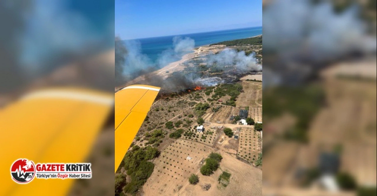 Antalya Manavgat'ta orman yangını!