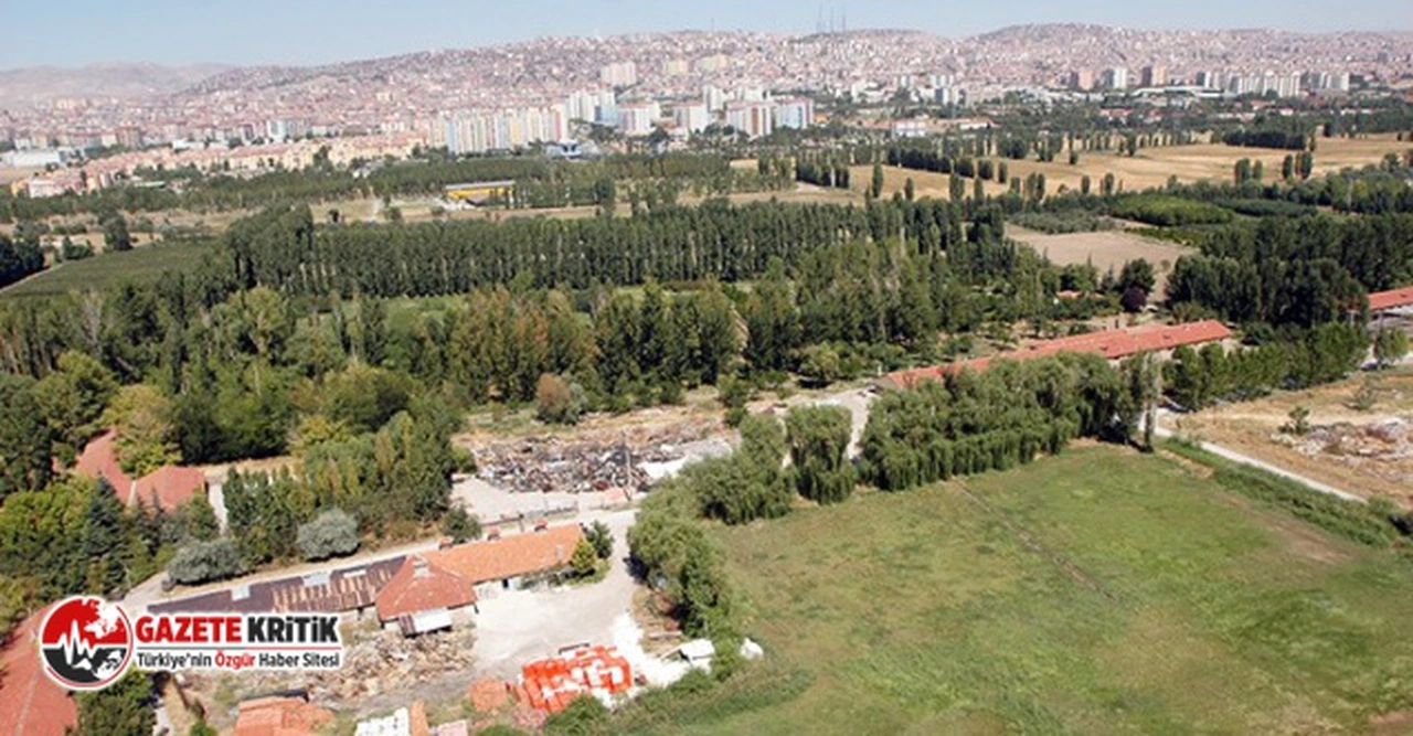 Bilirkişiler: Atatürk Orman Çiftliği alanında özel üniversite kullanım kararı AOÇ planlarına aykırı