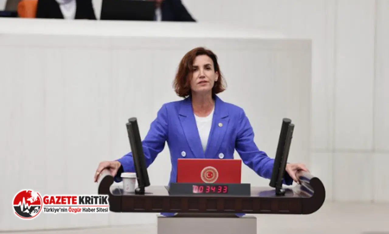 CHP'li Aliye Coşar: Yangın Sezonunda En Riskli Şehir Antalya