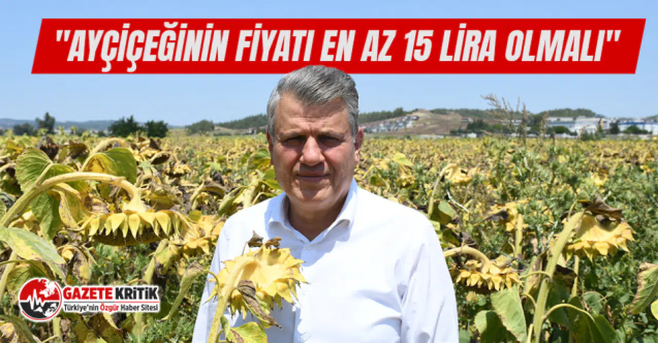 CHP'li Ayhan Barut: Ayçiçeğinde hasat sürüyor, fiyat ve alan yok