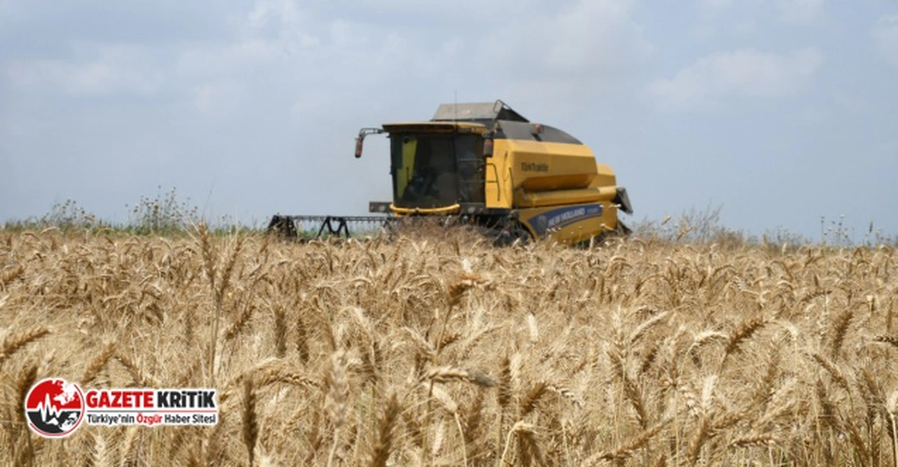 CHP'li Barut: "İthalat yerine üretime destek verilirse tahıl krizi yaşanmaz"
