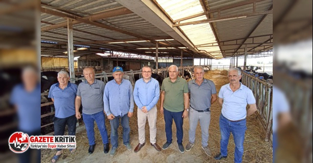 CHP'li Evrim Karakoz: Açıklanan Çiğ Süt Tavsiye Fiyatları Üretici İçin Yeterli Değildir