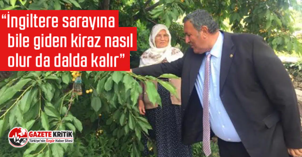 CHP'li Gürer: “Kiraz üreticilerine acil destek şart”