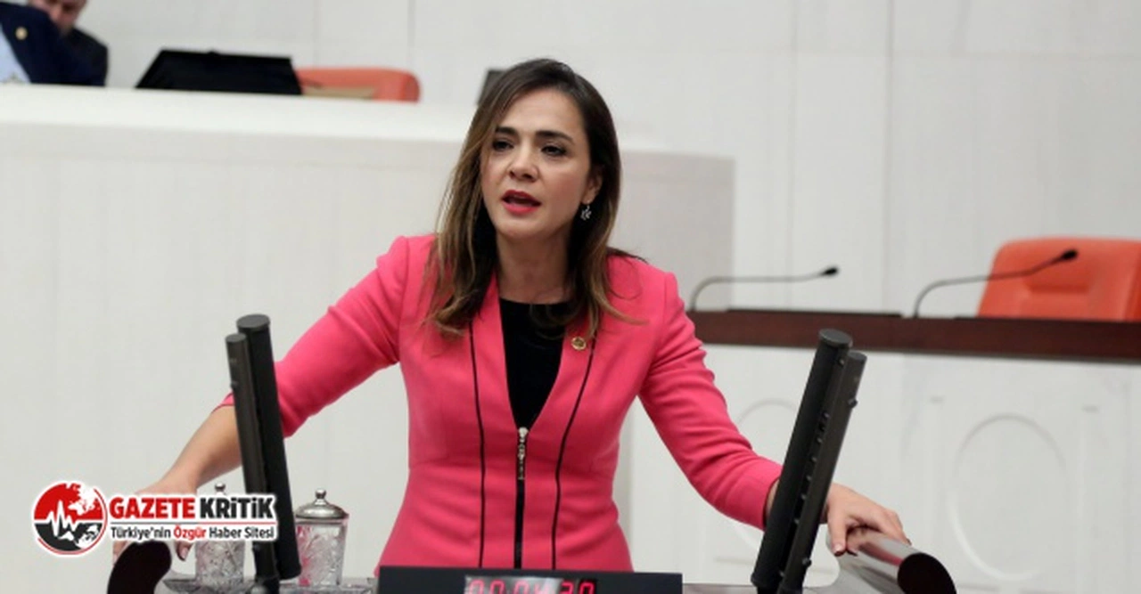 CHP'li İlgezdi: "Sanatçıların teşvikleri neden yatmıyor?"