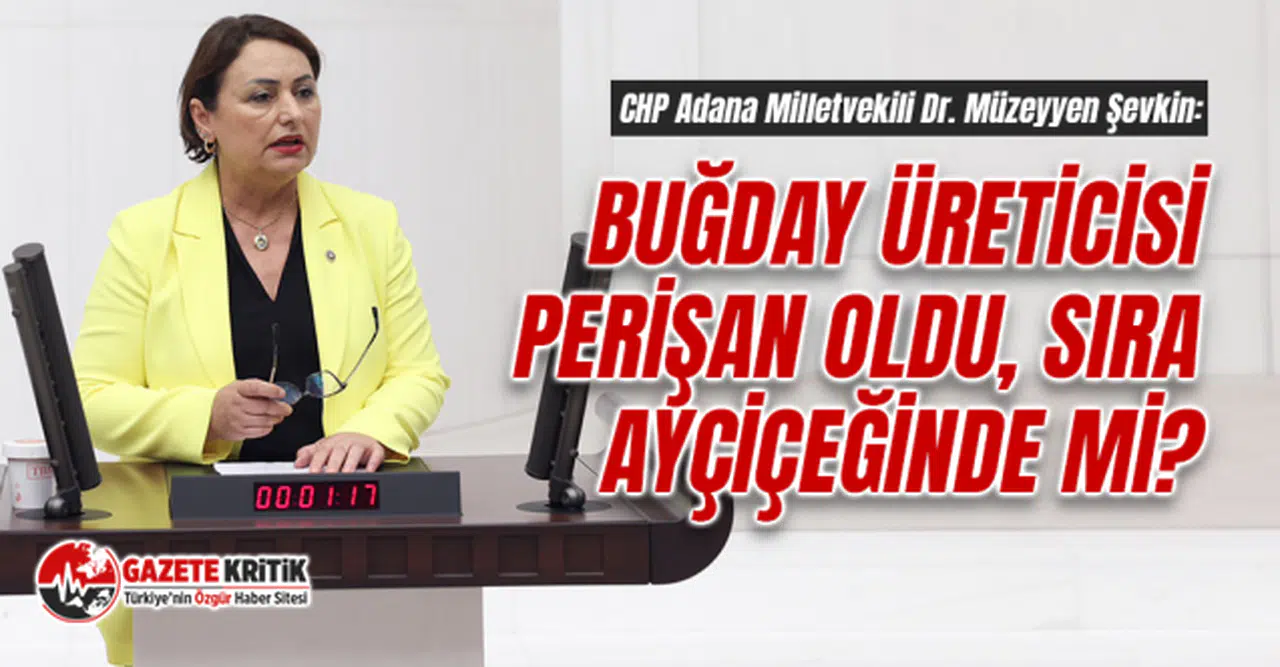 CHP'li Müzeyyen Şevkin : BUĞDAY ÜRETİCİSİ PERİŞAN OLDU, SIRA AYÇİÇEĞİNDE Mİ?