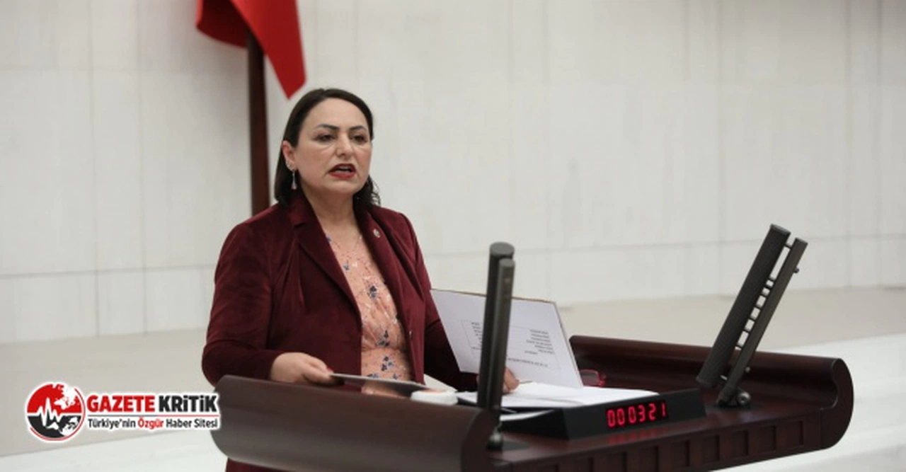 CHP'li Müzeyyen Şevkin: İktidar, Adana’yı kaderine terk etti!