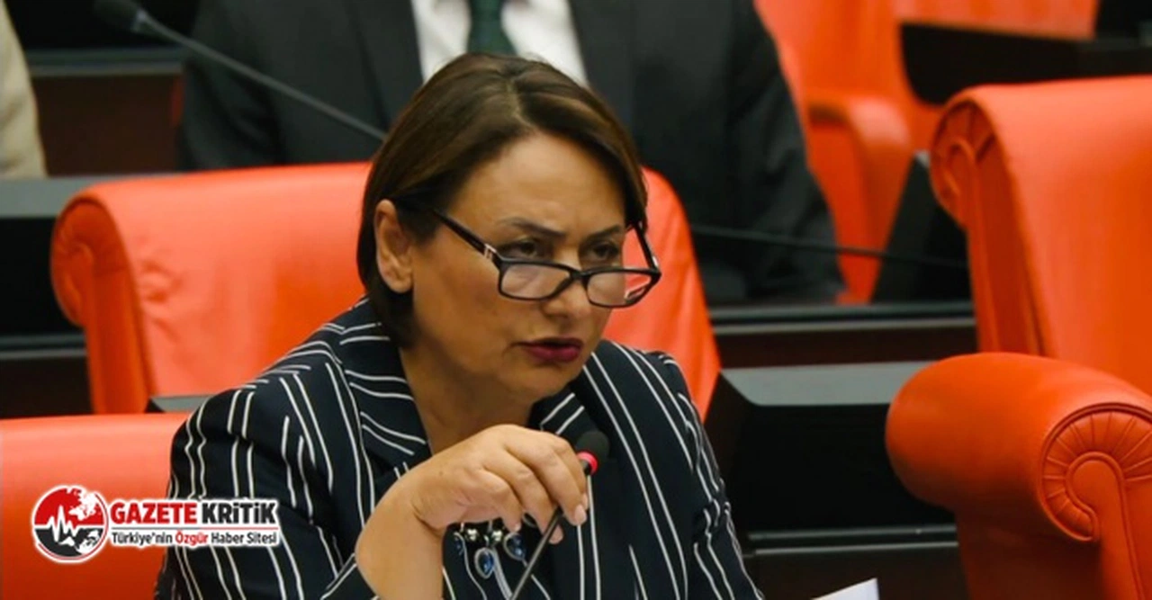 CHP'li Şevkin:“İktidar, seçimden sonra cadı avı başlattı”