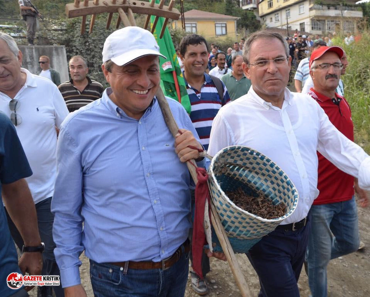 CHP'Lİ TORUN FINDIKTAKİ SORUNLARI TBMM GÜNDEMİNE TAŞIDI
