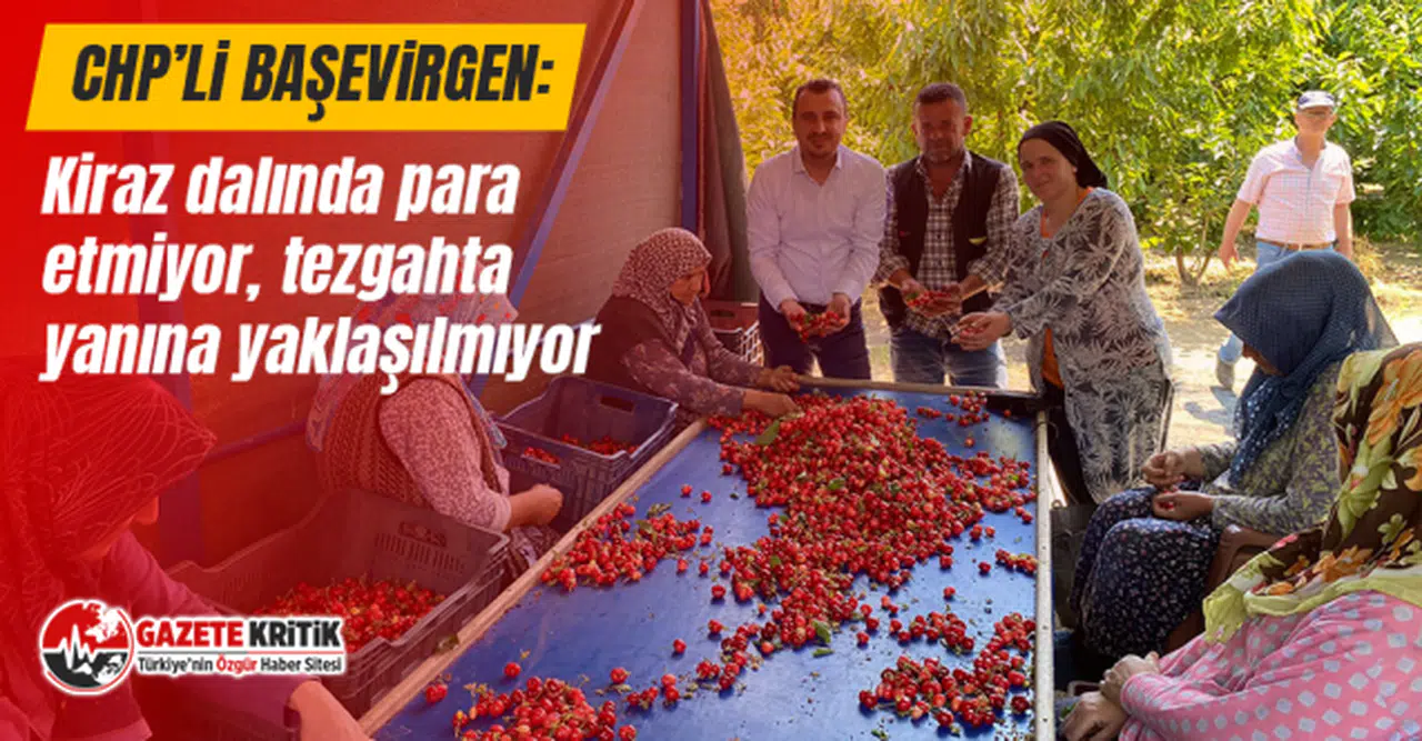 CHP’Lİ BEKİR BAŞEVİRGEN : Kiraz dalında para etmiyor, tezgahta yanına yaklaşılmıyor