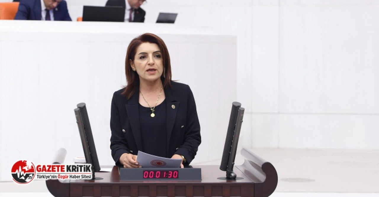 CHP’Lİ KIŞ : EKONOMİK KRİZ ÜNİVERSİTE ÖĞRENCİLERİNİ DE VURACAK