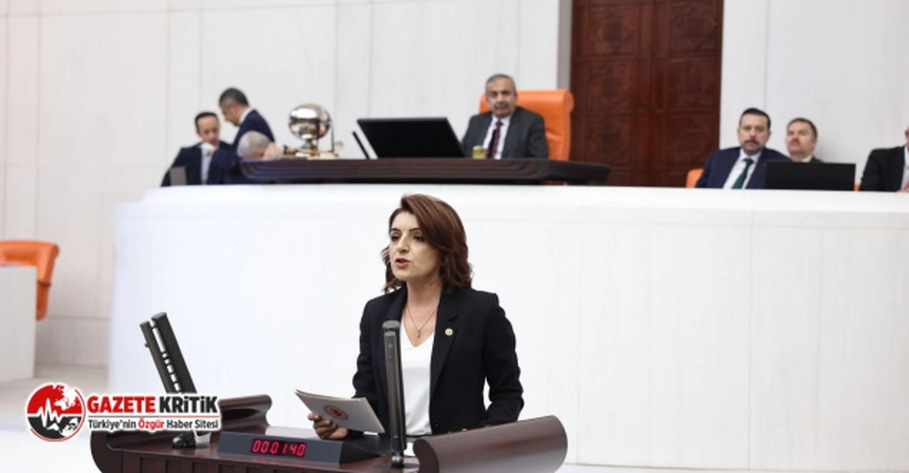 CHP’li KIŞ: “TORBADAN DEPREMZEDE İŞ İNSANINA YENİ BORÇ VAADİ ÇIKTI”