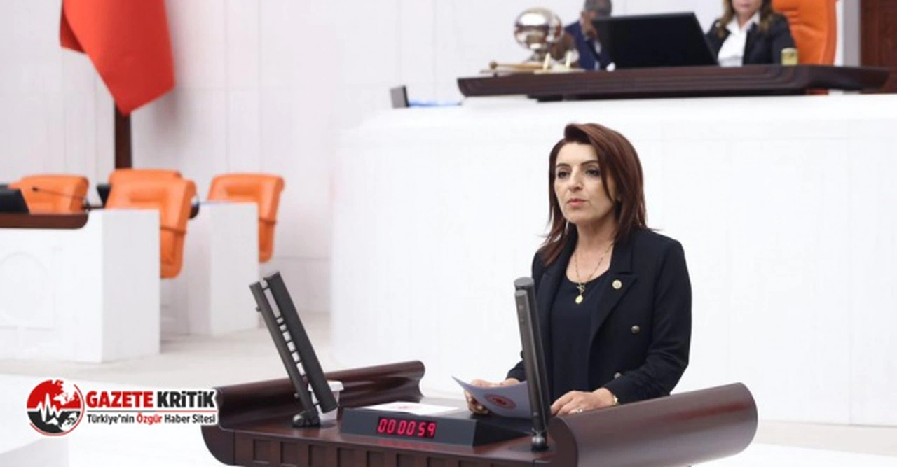 CHP’li KIŞ: “TORBADAN DEPREMZEDE İŞ İNSANINA YENİ BORÇ VAADİ ÇIKTI”