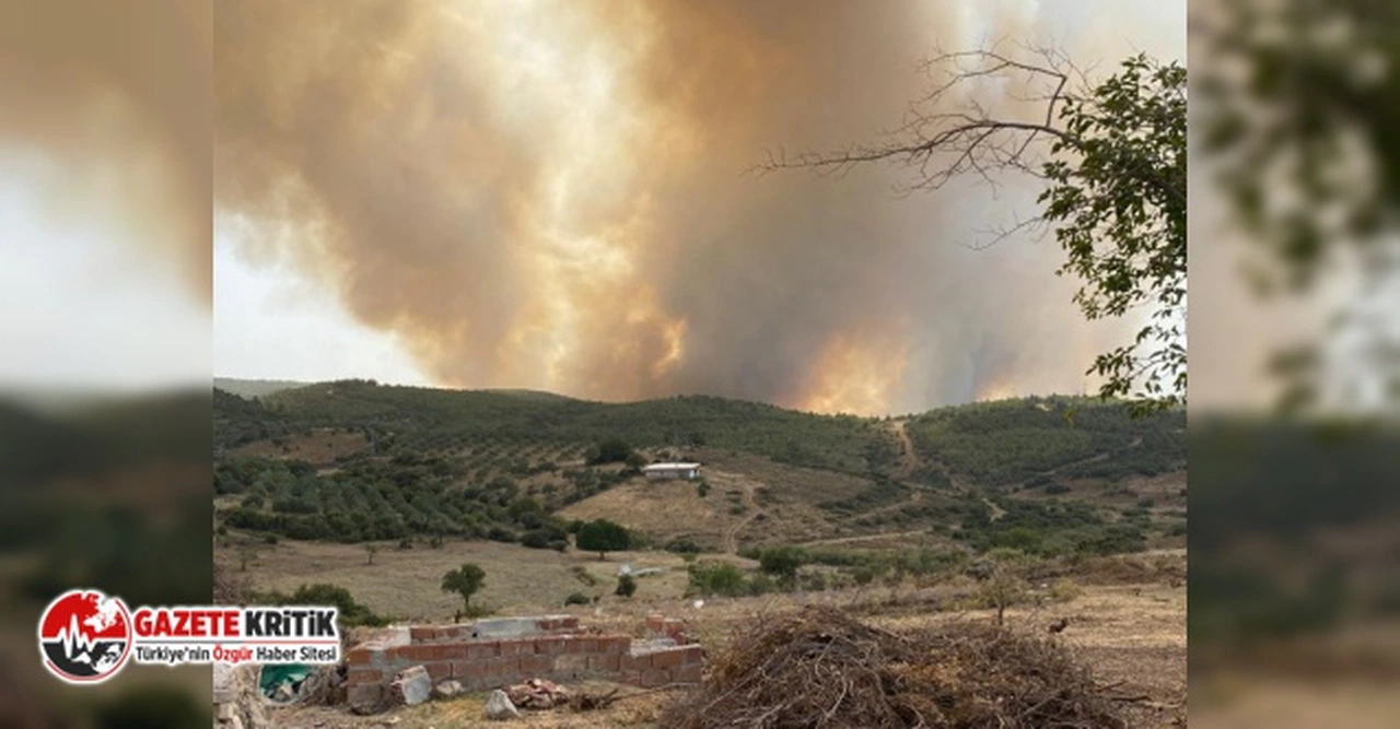 İzmir Kınık'ta orman yangını:Bazı mahalleler tahliye ediliyor